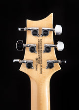 Used Paul Reed Smith SE Custom 24-08 Eriza Verde