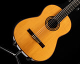 1976 Jean Claude Larrivee L-31 Classical