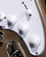 Paul Reed Smith Silver Sky Mojave Brown Satin