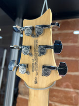 Paul Reed Smith SE CE 24 Standard Satin Metallic Silver