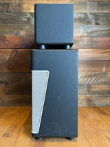 Used Magnatone Super Fifteen Head + Cabinet