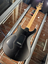 Paul Reed Smith SE Swamp Ash CE 24 Sandblasted Purple Limited Edition