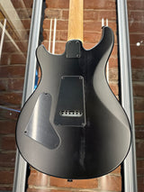 Paul Reed Smith SE Swamp Ash CE 24 Sandblasted Purple Limited Edition