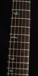 Used Paul Reed Smith Private Stock Modern Eagle V Sub-Zero Glow Smoked Burst Brian's Guitars 10th Anniversary