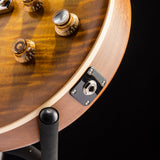 Gibson Kirk Hammett "Greeny" Les Paul Standard Greeny Burst
