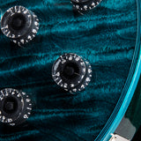 Gibson Custom Les Paul Axcess Custom Figured Top Peacock Widow