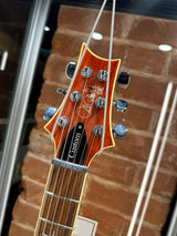 Paul Reed Smith SE Custom 24 Zebrawood