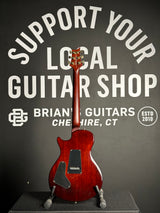 Used Paul Reed Smith SE Mikael Akerfeldt Tortoise Shell