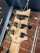 Paul Reed Smith SE Swamp Ash CE 24 Sandblasted White Limited Edition