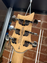 Paul Reed Smith SE Swamp Ash CE 24 Sandblasted Purple Limited Edition