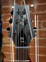 Paul Reed Smith SE Swamp Ash CE 24 Sandblasted Green Limited Edition