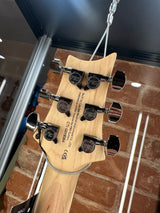 Paul Reed Smith SE Swamp Ash CE 24 Sandblasted Green Limited Edition