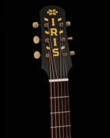 Iris Guitar Company DF Distressed Tobacco Burst Acoustic Guitar
