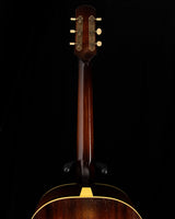 Iris Guitar Company DF Distressed Tobacco Burst Acoustic Guitar