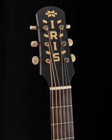 Iris Guitar Company DF Mid 30s Dark Burst Hand-painted by Sarah Ryan 2025 Limited Edition