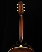 Iris Guitar Company DF Distressed Tobacco Burst Acoustic Guitar