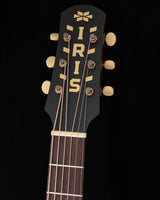Iris Guitar Company ND200 Sunburst Acoustic Guitar