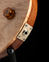 Used Paul Reed Smith Wood Custom 22 Stoptail Natural