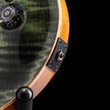 Paul Reed Smith Custom 24-08 Sage Limited Edition