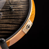 Paul Reed Smith Custom 24 Birds Of A Feather Limited Charcoal Microburst