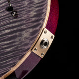 Paul Reed Smith Custom 24 Floyd Aurora Borealis