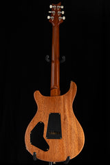 Paul Reed Smith DGT David Grissom Signature Charcoal