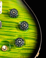 Paul Reed Smith DGT David Grissom Eriza Verde Smokeburst