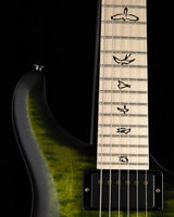 Used Paul Reed Smith DW CE 24 Hardtail Dustie Waring Signature Jade Smokeburst