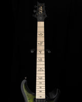 Used Paul Reed Smith DW CE 24 Hardtail Dustie Waring Signature Jade Smokeburst