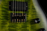 Used Paul Reed Smith DW CE 24 Hardtail Dustie Waring Signature Jade Smokeburst