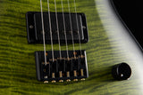 Paul Reed Smith DW CE 24 Hardtail Dustie Waring Signature Jade Smokeburst