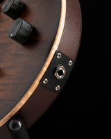 Paul Reed Smith DW CE 24 Hardtail Dustie Waring Signature Burnt Amber Smokeburst