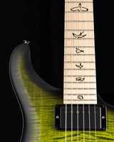 Paul Reed Smith DW CE 24 Hardtail Dustie Waring Signature Jade Smokeburst