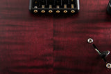 Paul Reed Smith DW CE 24 Hardtail Dustie Waring Signature Waring Burst
