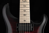 Paul Reed Smith DW CE 24 Hardtail Dustie Waring Signature Waring Burst