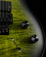 Paul Reed Smith DW CE 24 Floyd Dustie Waring Signature Jade Smokeburst