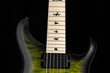 Paul Reed Smith DW CE 24 Floyd Dustie Waring Signature Jade Smokeburst