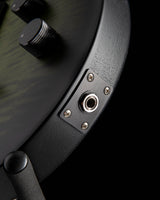 Paul Reed Smith DW CE 24 Hardtail Dustie Waring Signature Jade Smokeburst