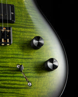 Used Paul Reed Smith DW CE 24 Hardtail Dustie Waring Signature Jade Smokeburst