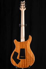 Paul Reed Smith Wood Library Artist Modern Eagle V Brian's Guitars 15th Anniversary Zombie Fade Limited