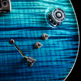 Paul Reed Smith Wood Library Artist Modern Eagle V Brian's Guitars 15th Anniversary Beach Fade Limited