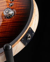 Paul Reed Smith Private Stock Custom 24-08 Electric Tiger Glow