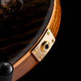 Paul Reed Smith Private Stock Custom 24 Tiger Eye