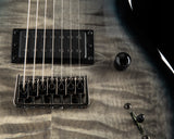 Paul Reed Smith SE Mark Holcomb SVN Holcomb Blue Burst