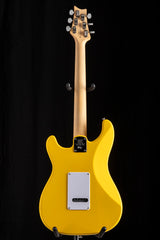 Paul Reed Smith SE Silver Sky Dandy Lion