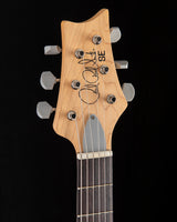 Paul Reed Smith SE Silver Sky Dandy Lion