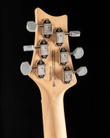 Paul Reed Smith SE Silver Sky Dandy Lion