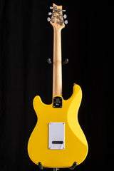 Paul Reed Smith SE Silver Sky Dandy Lion