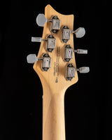 Paul Reed Smith SE Silver Sky Piano Black