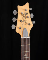 Paul Reed Smith SE Silver Sky Piano Black